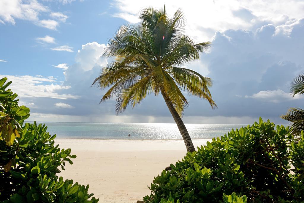 Отель Hodi Hodi Zanzibar Пвани-Мчангани Экстерьер фото
